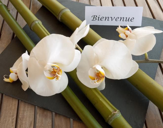 Nos Créations florales