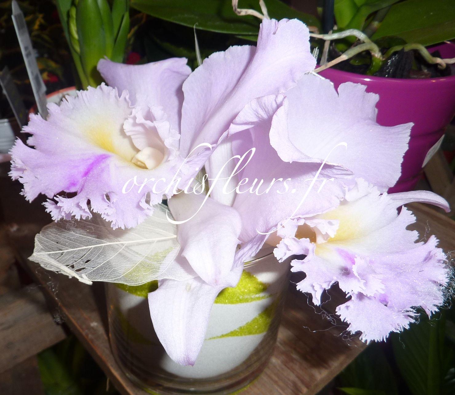 Centre de table rond fleuriste Bois d'Arcy