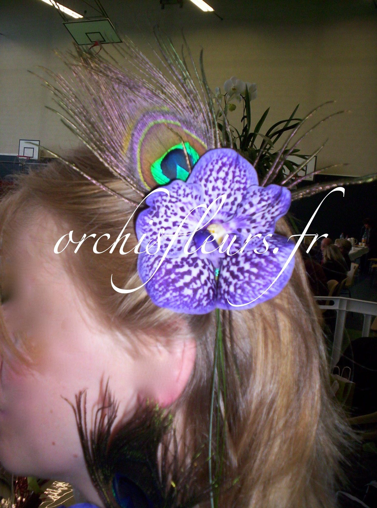 Parure de cheveux fleuriste Bois d'Arcy